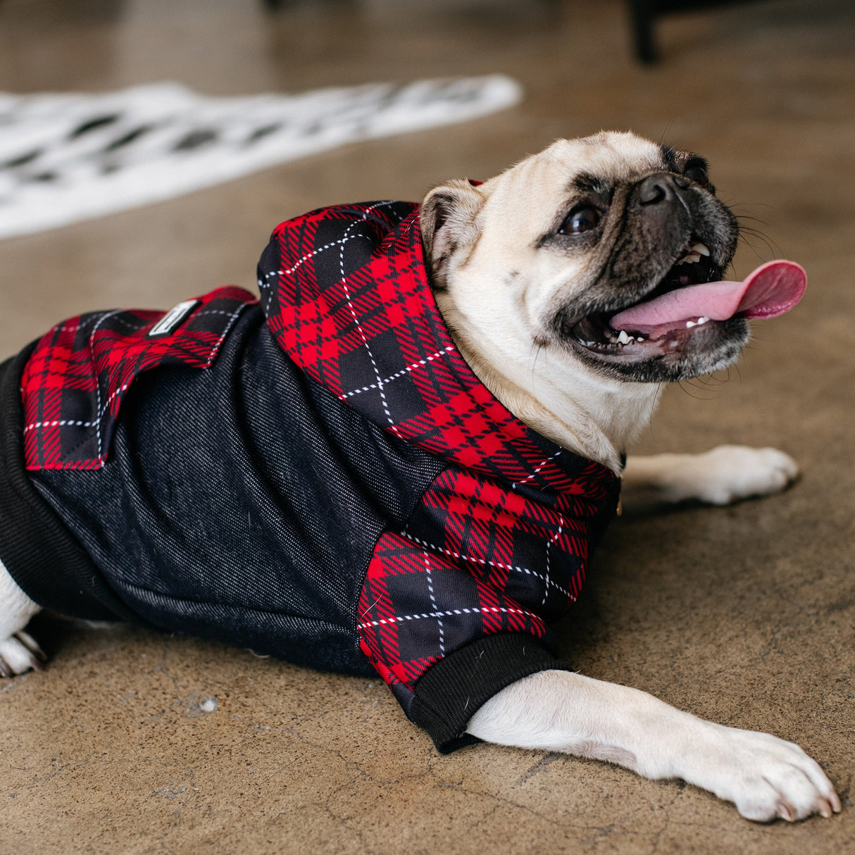 Frenchie Dog Hoodie - Red Tartan from Frenchie Bulldog