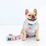 Frenchie Duo Reversible Harness - Secret Garden from Frenchie Bulldog