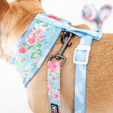 Frenchie Duo Reversible Harness - Secret Garden from Frenchie Bulldog