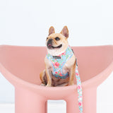 Frenchie Duo Reversible Harness - Secret Garden from Frenchie Bulldog