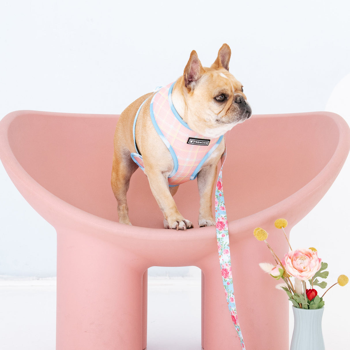Frenchie Duo Reversible Harness - Secret Garden from Frenchie Bulldog