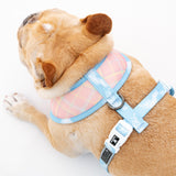 Frenchie Duo Reversible Harness - Secret Garden from Frenchie Bulldog