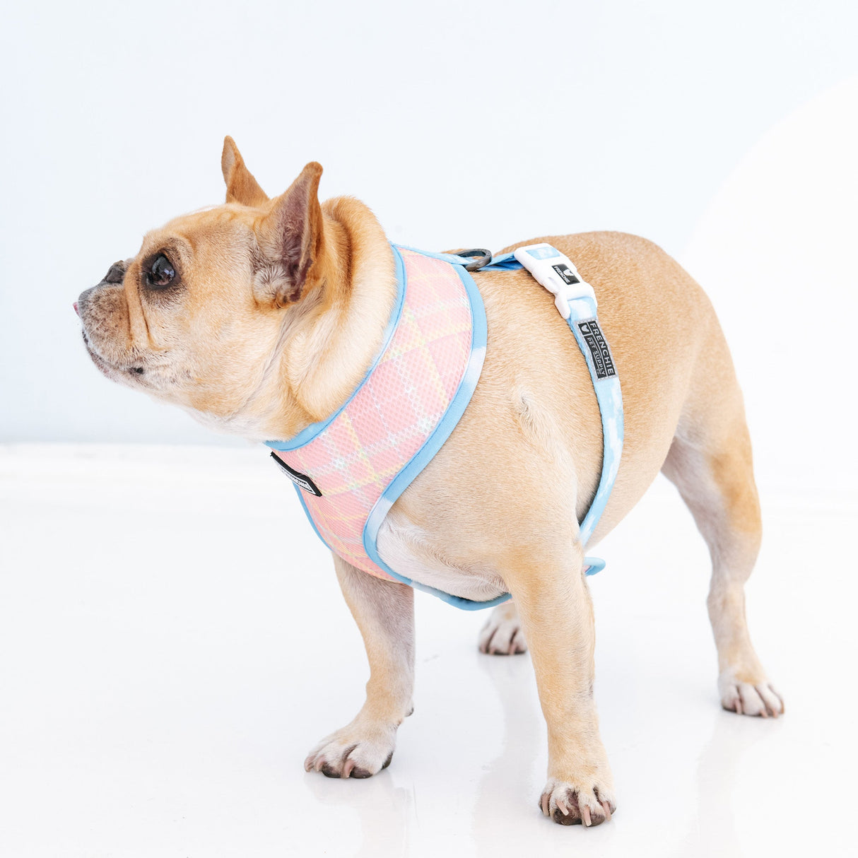 Frenchie Duo Reversible Harness - Secret Garden from Frenchie Bulldog