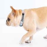 Frenchie Comfort Collar - Secret Garden from Frenchie Bulldog