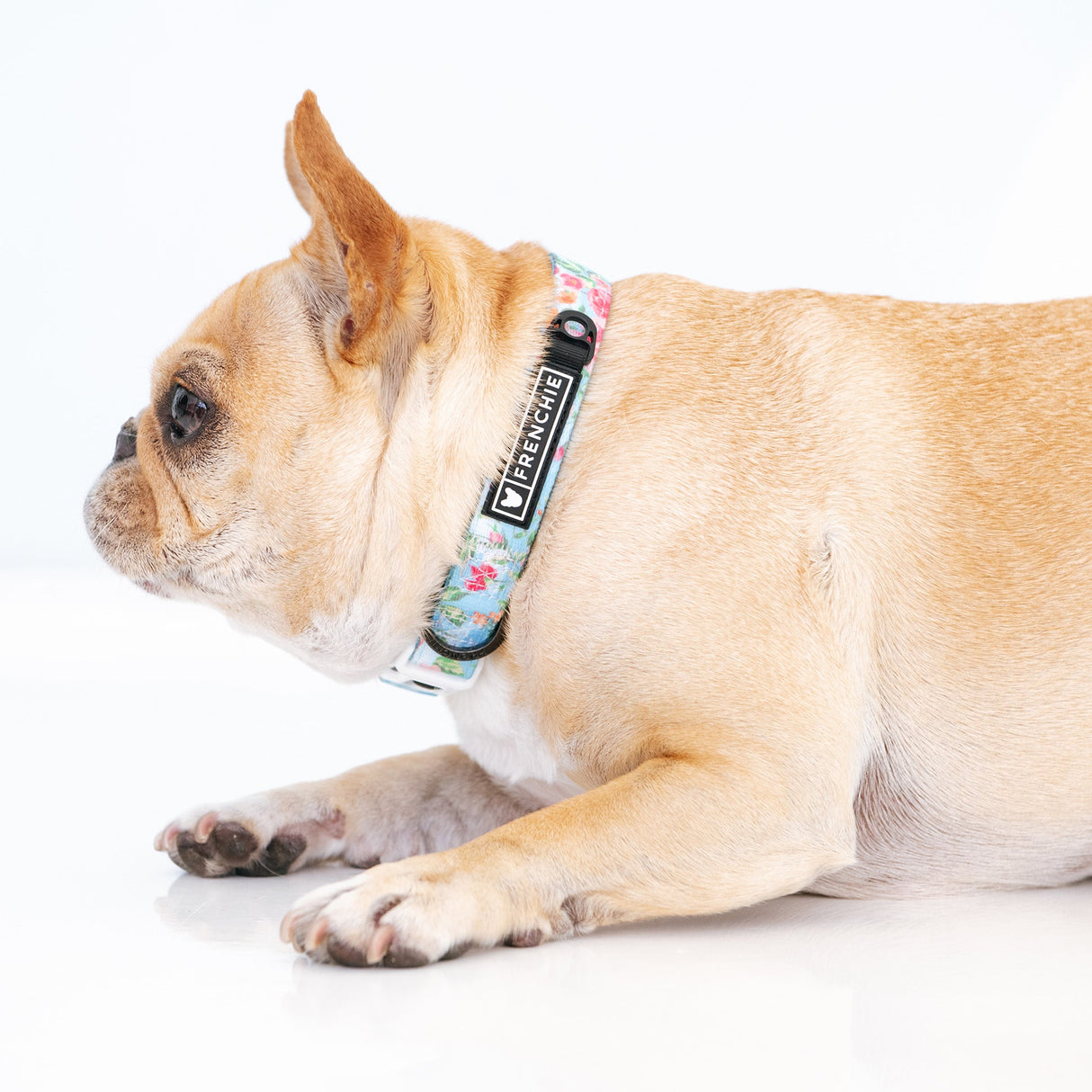 Frenchie Comfort Collar - Secret Garden from Frenchie Bulldog