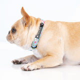 Frenchie Comfort Collar - Secret Garden from Frenchie Bulldog