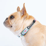 Frenchie Comfort Collar - Secret Garden from Frenchie Bulldog