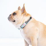 Frenchie Comfort Collar - Secret Garden from Frenchie Bulldog