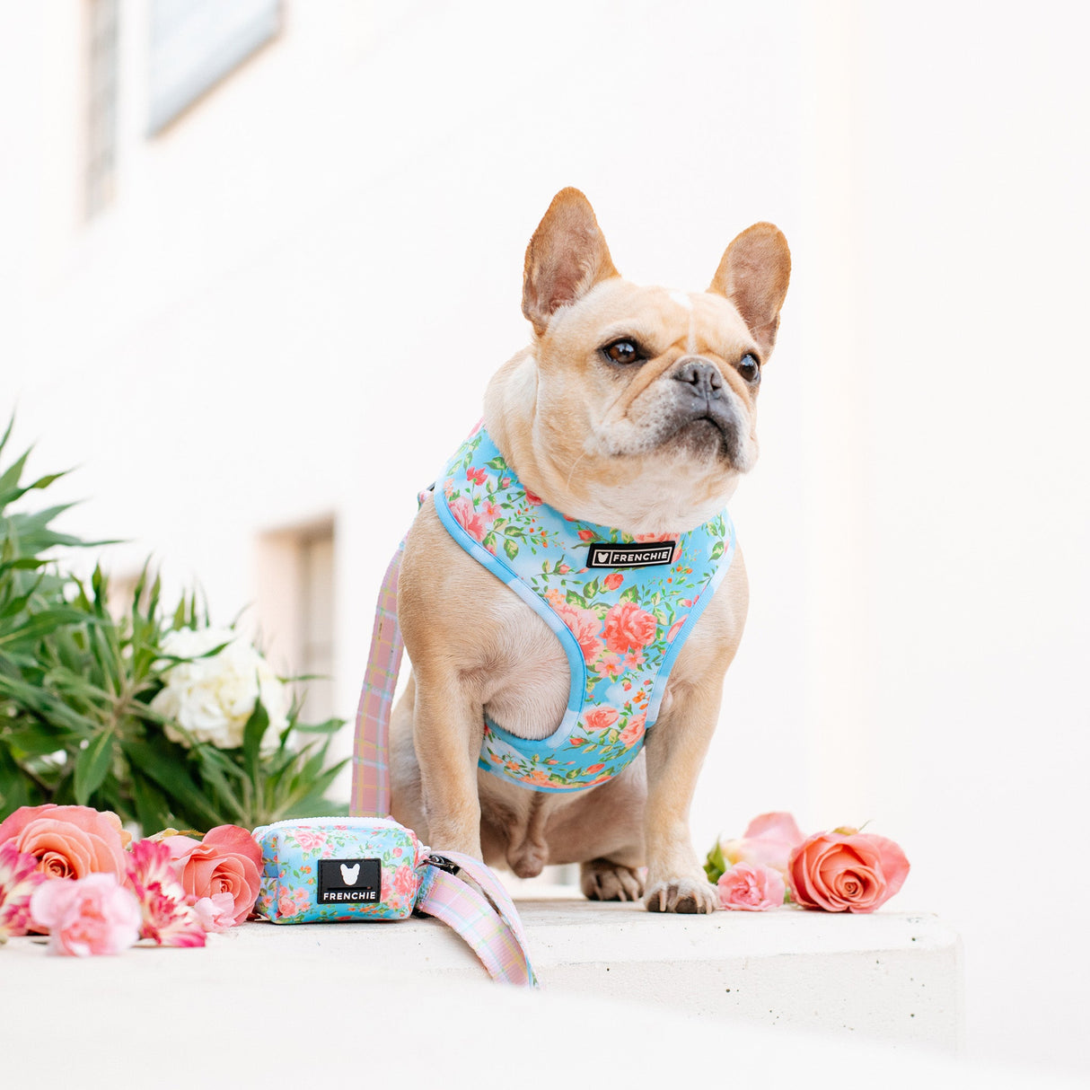 Frenchie Duo Reversible Harness - Secret Garden from Frenchie Bulldog