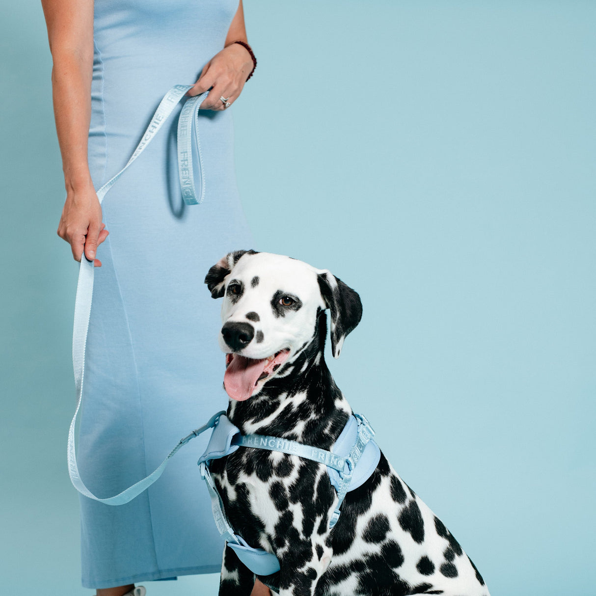 Frenchie Comfort Leash - Sky Blue from Frenchie Bulldog