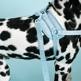 Frenchie Comfort Leash - Sky Blue from Frenchie Bulldog