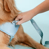 Frenchie Comfort Leash - Sky Blue from Frenchie Bulldog