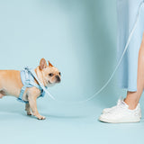 Frenchie Comfort Leash - Sky Blue from Frenchie Bulldog
