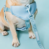 Frenchie Comfort Leash - Sky Blue from Frenchie Bulldog