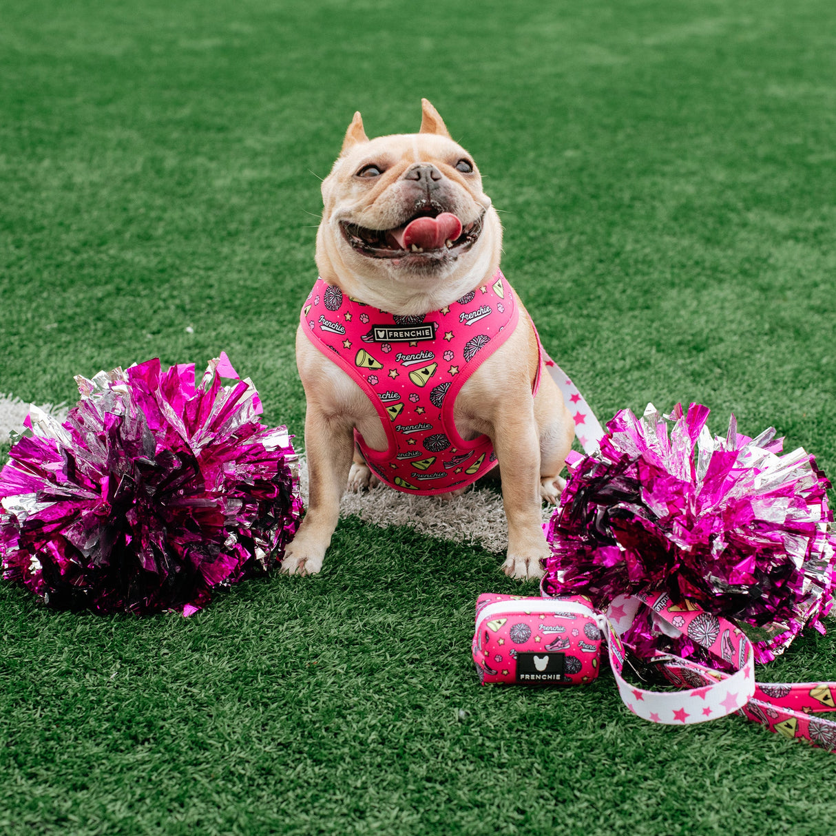 Frenchie Duo Reversible Harness - Spirit Paws from Frenchie Bulldog