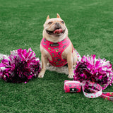 Frenchie Duo Reversible Harness - Spirit Paws from Frenchie Bulldog