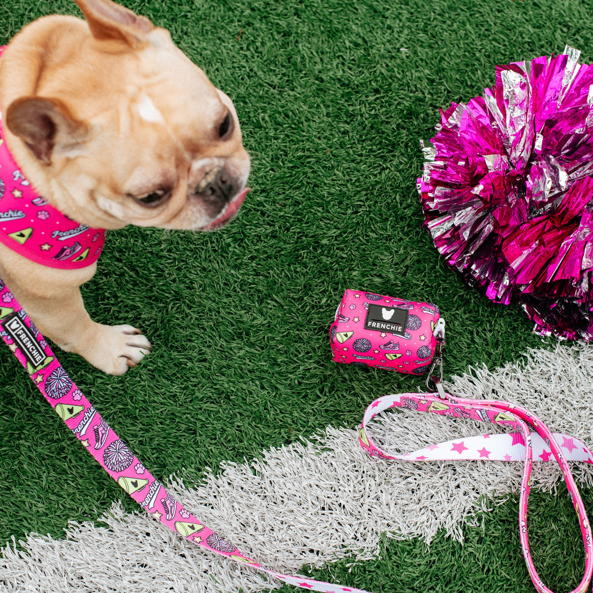 Frenchie Poo Bag Holder - Spirit Paws from Frenchie Bulldog