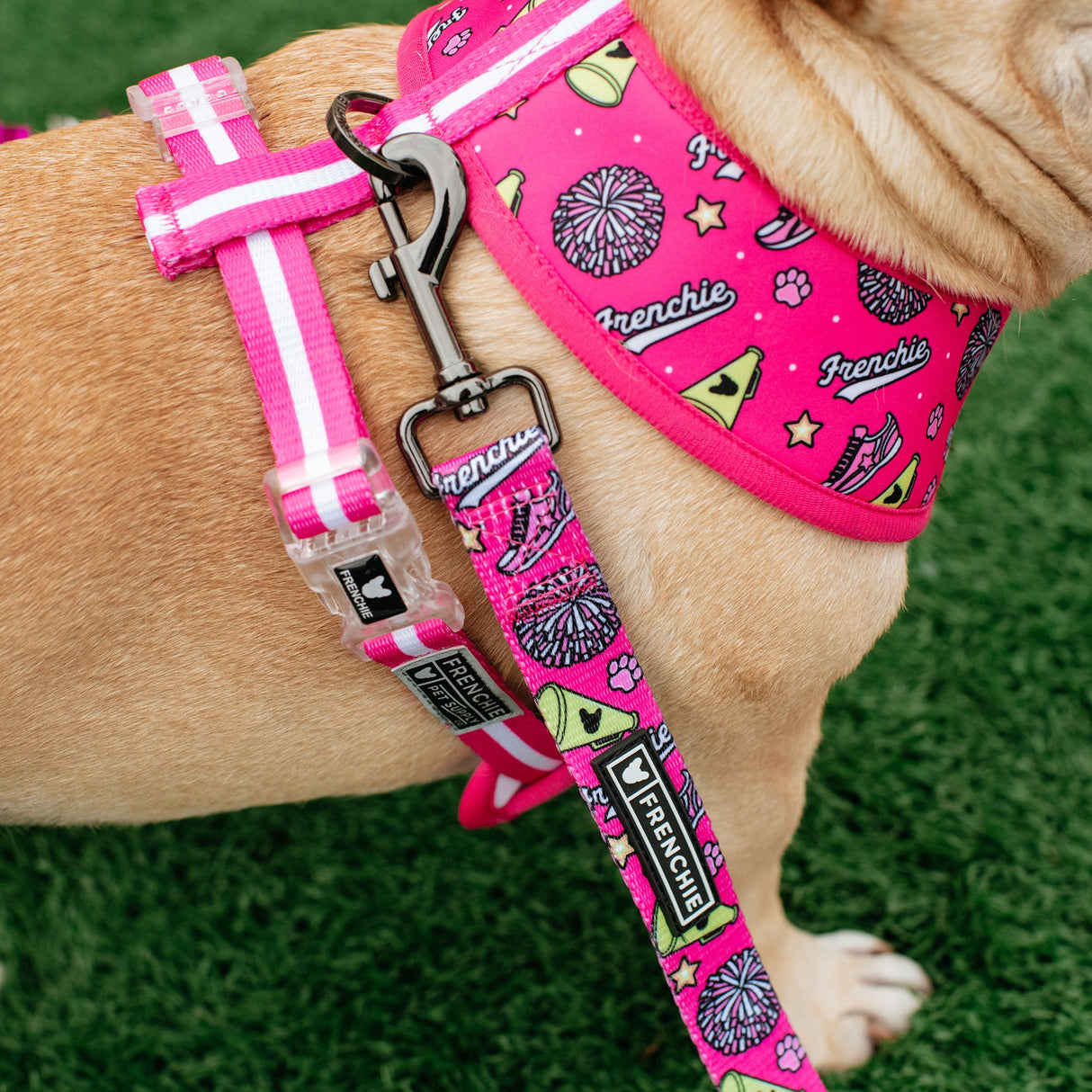 Frenchie Duo Reversible Harness - Spirit Paws from Frenchie Bulldog