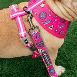 Frenchie Duo Reversible Harness - Spirit Paws from Frenchie Bulldog