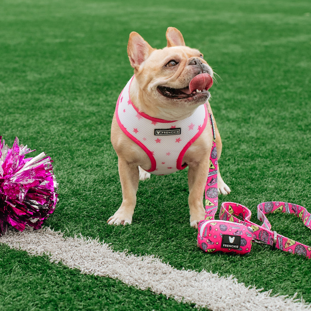 Frenchie Duo Reversible Harness - Spirit Paws from Frenchie Bulldog