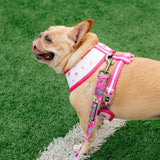 Frenchie Duo Reversible Harness - Spirit Paws from Frenchie Bulldog