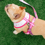 Frenchie Duo Reversible Harness - Spirit Paws from Frenchie Bulldog