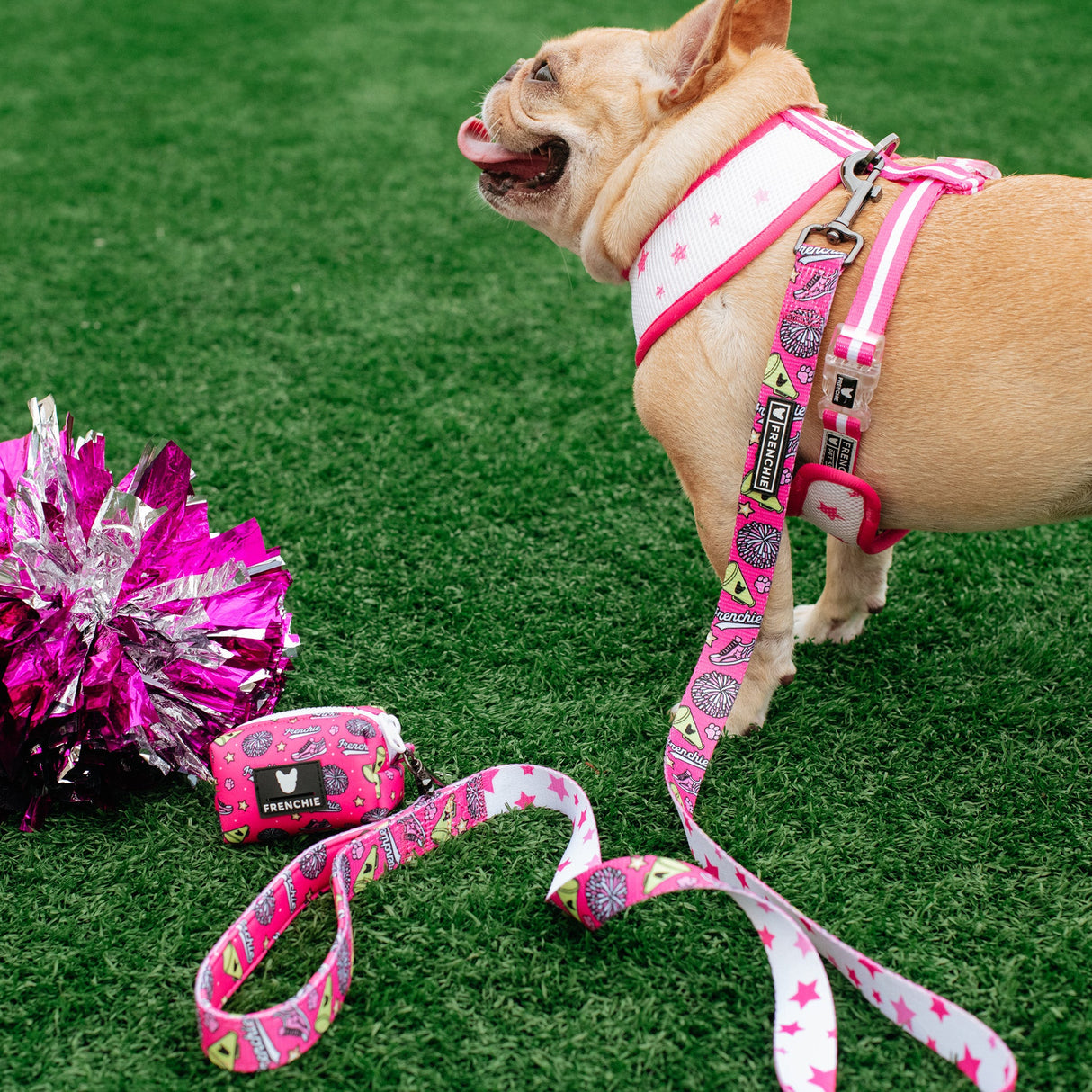 Frenchie Poo Bag Holder - Spirit Paws from Frenchie Bulldog