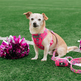 Frenchie Duo Reversible Harness - Spirit Paws from Frenchie Bulldog