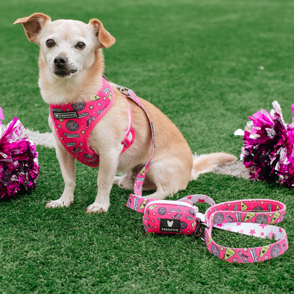 Frenchie Poo Bag Holder - Spirit Paws from Frenchie Bulldog