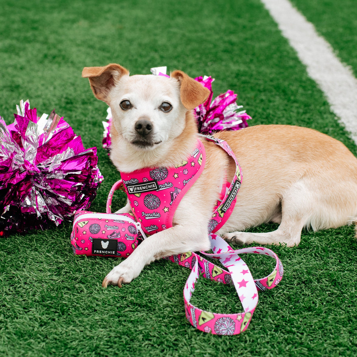 Frenchie Duo Reversible Harness - Spirit Paws from Frenchie Bulldog