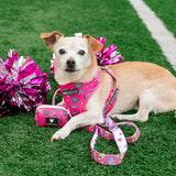 Frenchie Duo Reversible Harness - Spirit Paws from Frenchie Bulldog