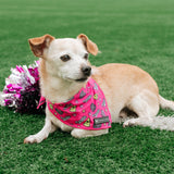 Frenchie Cooling Bandana - Spirit Paws from Frenchie Bulldog