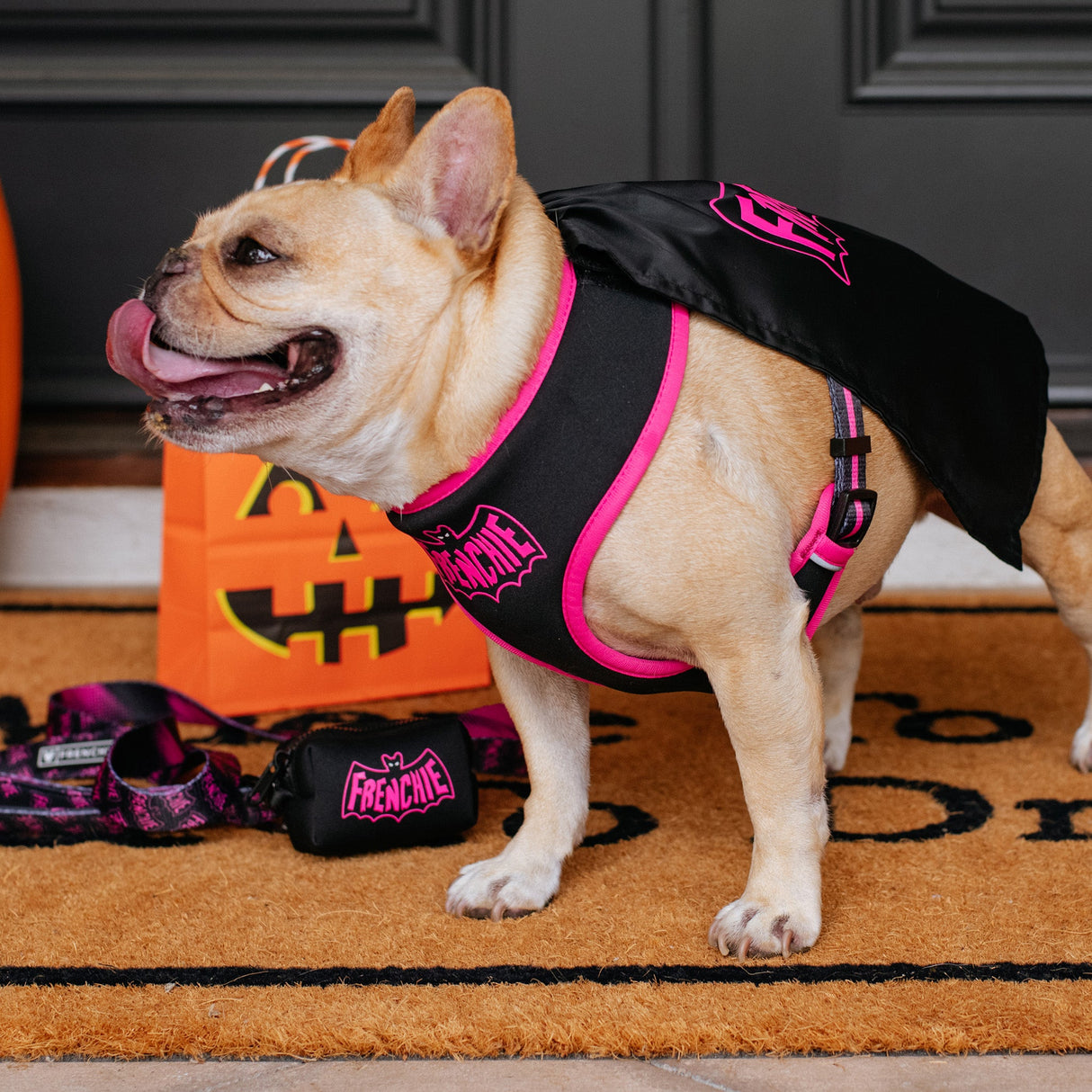 Frenchie Poo Bag Holder - Super Pig (Pink) from Frenchie Bulldog