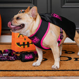 Frenchie Poo Bag Holder - Super Pig (Pink) from Frenchie Bulldog