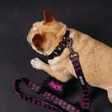 Frenchie Comfort Collar - Super Pig (Pink) from Frenchie Bulldog