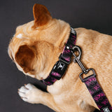 Frenchie Comfort Collar - Super Pig (Pink) from Frenchie Bulldog