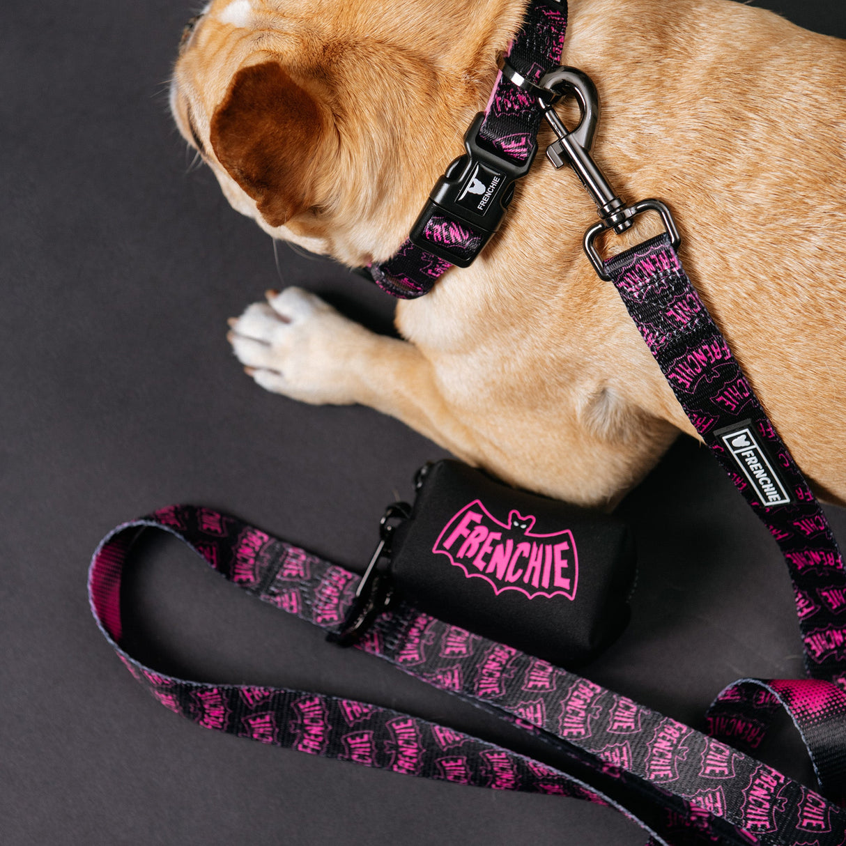 Frenchie Poo Bag Holder - Super Pig (Pink) from Frenchie Bulldog