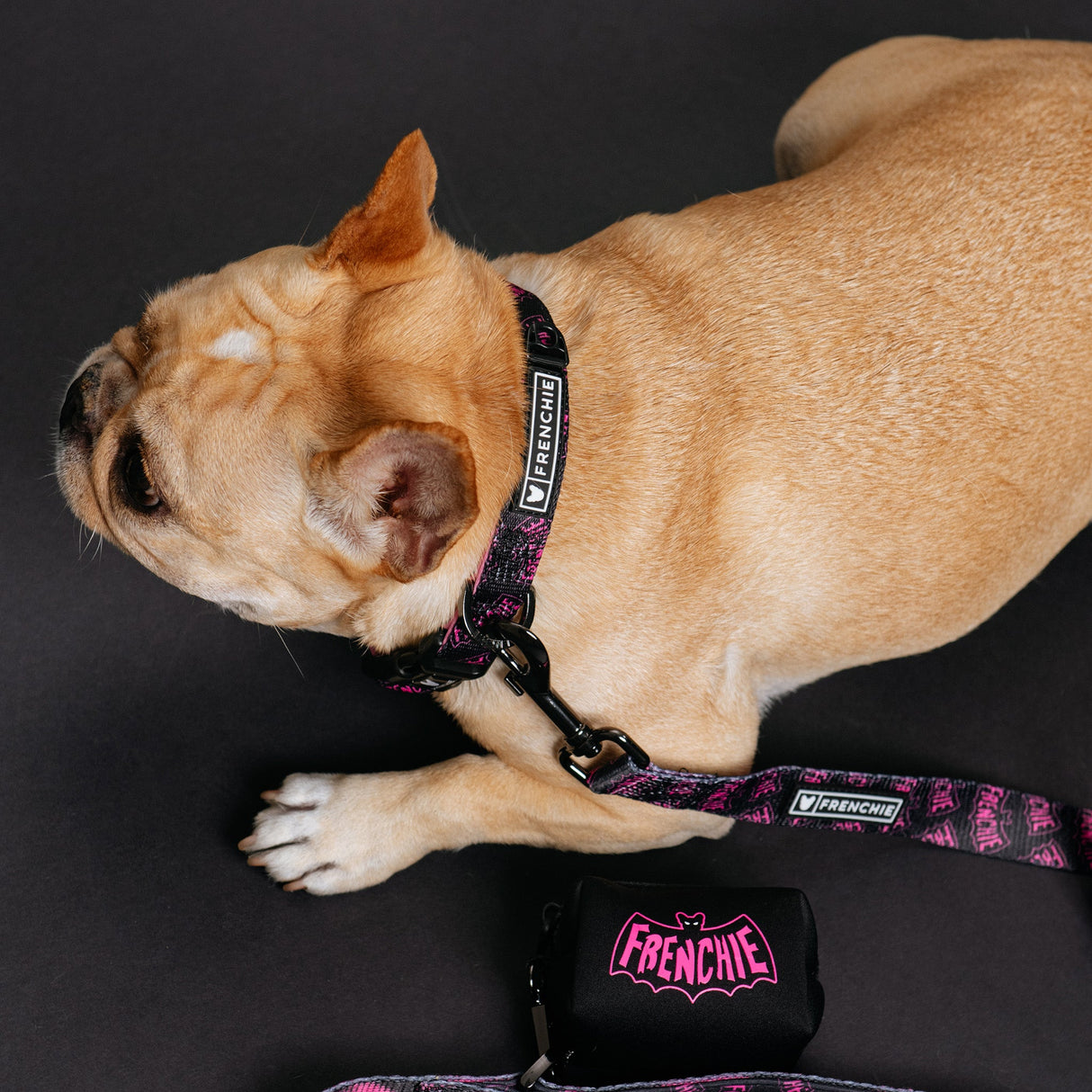 Frenchie Comfort Collar - Super Pig (Pink) from Frenchie Bulldog