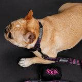 Frenchie Comfort Collar - Super Pig (Pink) from Frenchie Bulldog