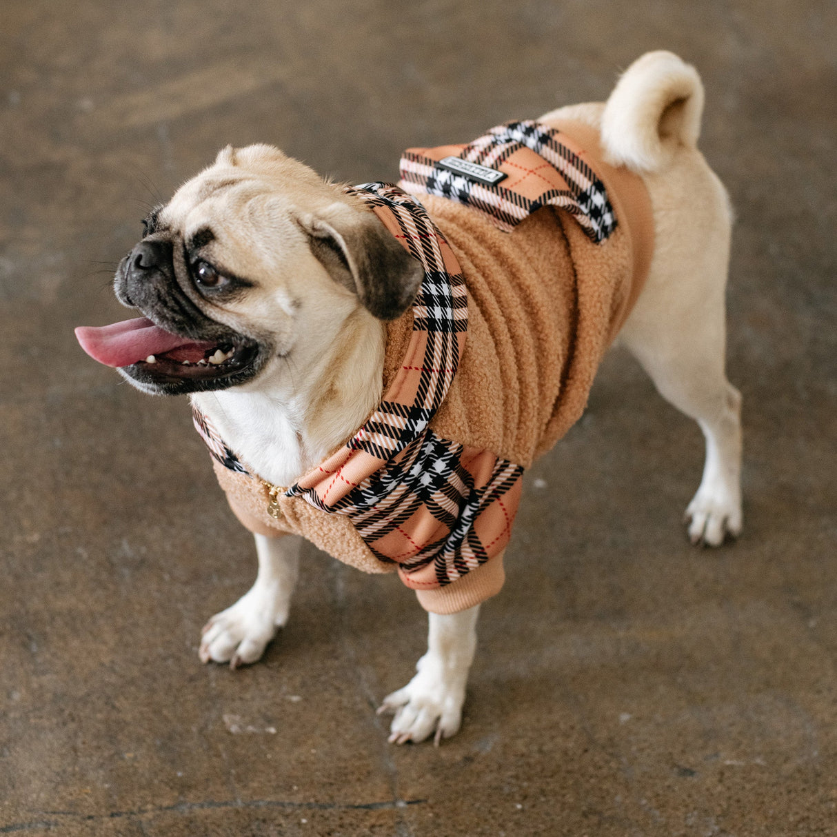 Frenchie Dog Hoodie - Tan Tartan from Frenchie Bulldog