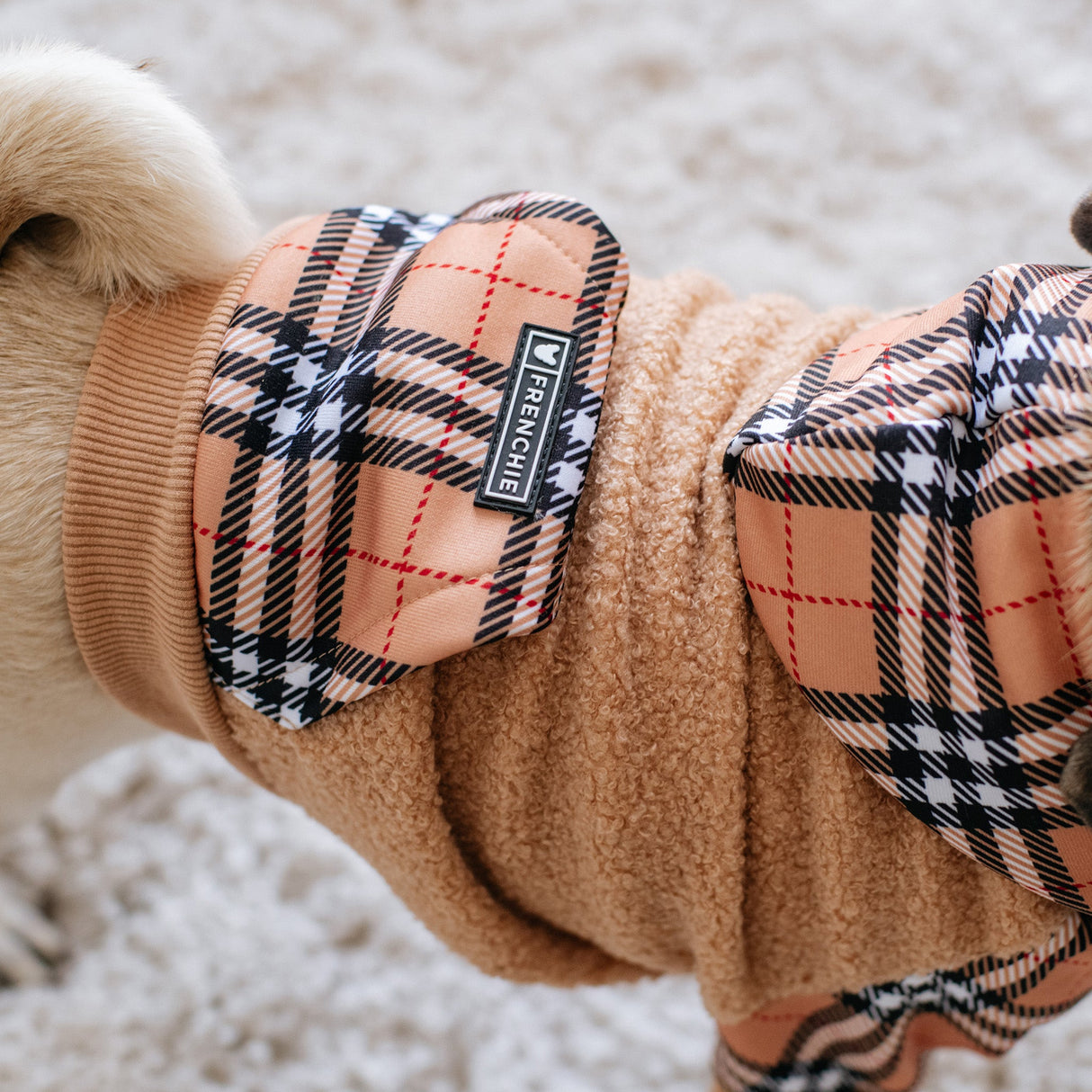 Frenchie Dog Hoodie - Tan Tartan from Frenchie Bulldog