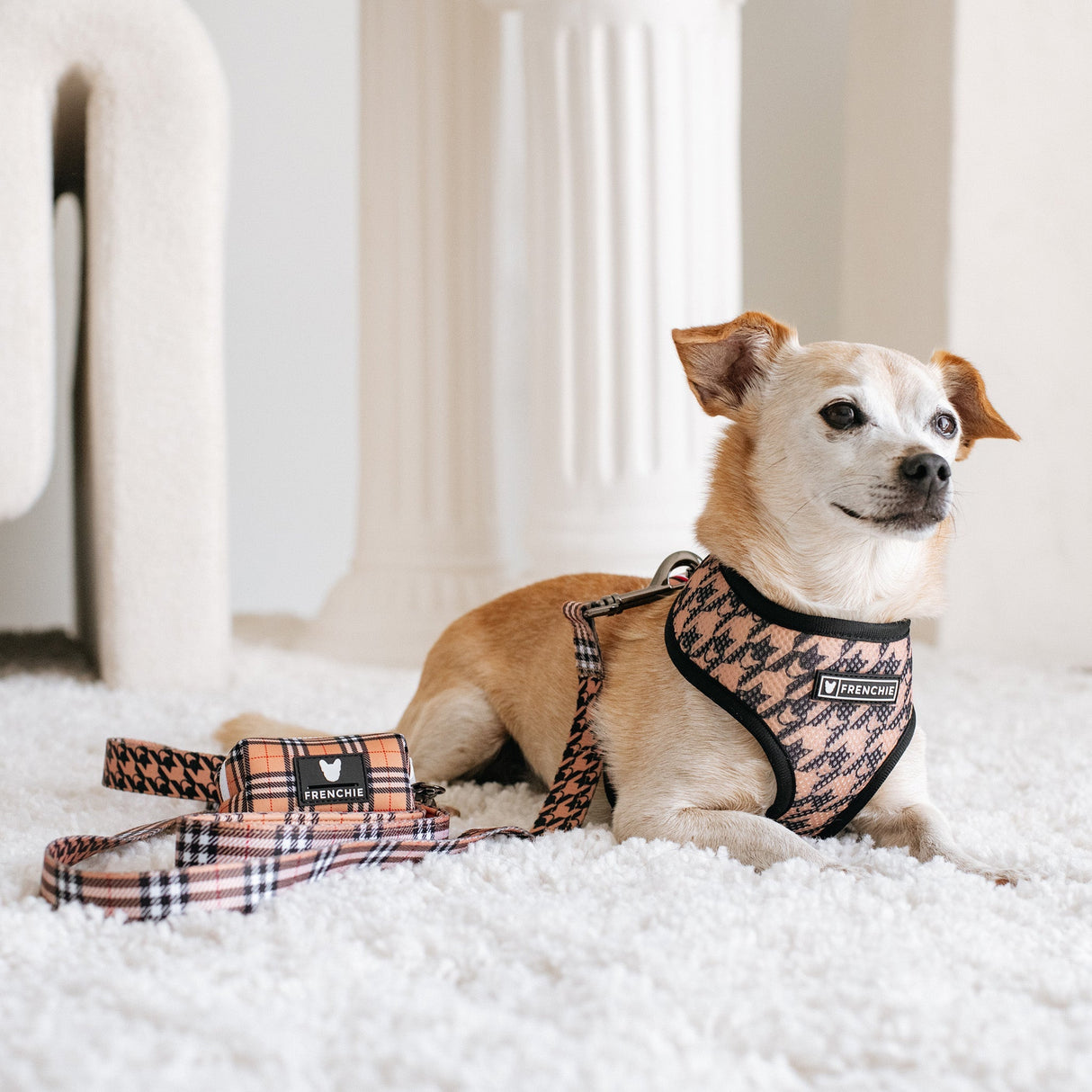 Frenchie Poo Bag Holder - Tan Tartan from Frenchie Bulldog