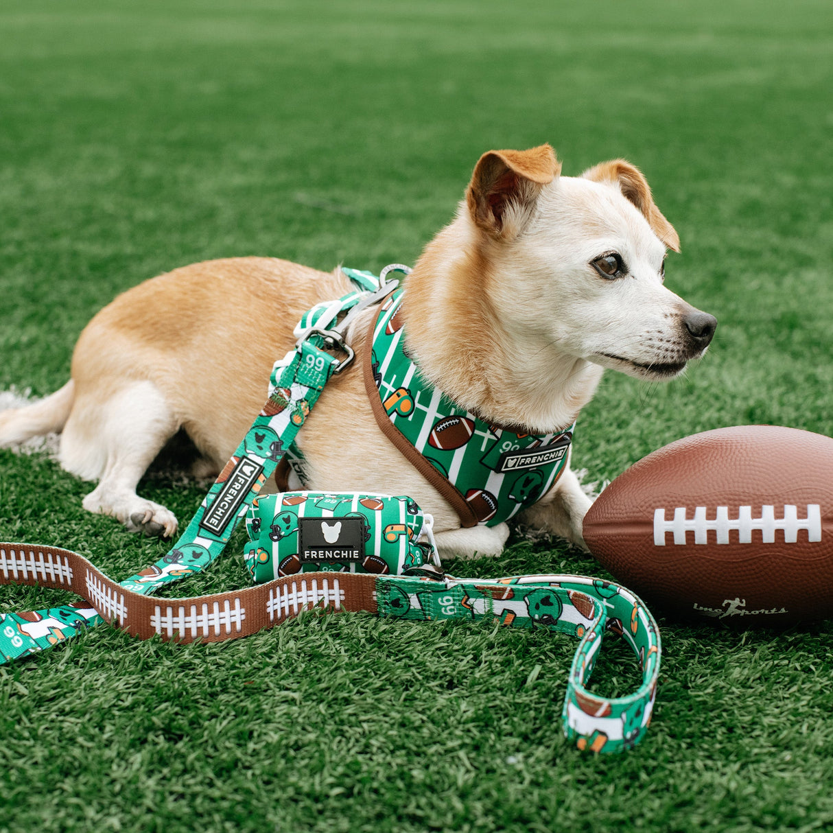 Frenchie Poo Bag Holder - Touchdown from Frenchie Bulldog