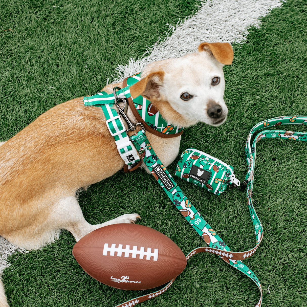 Frenchie Duo Reversible Harness - Touchdown from Frenchie Bulldog