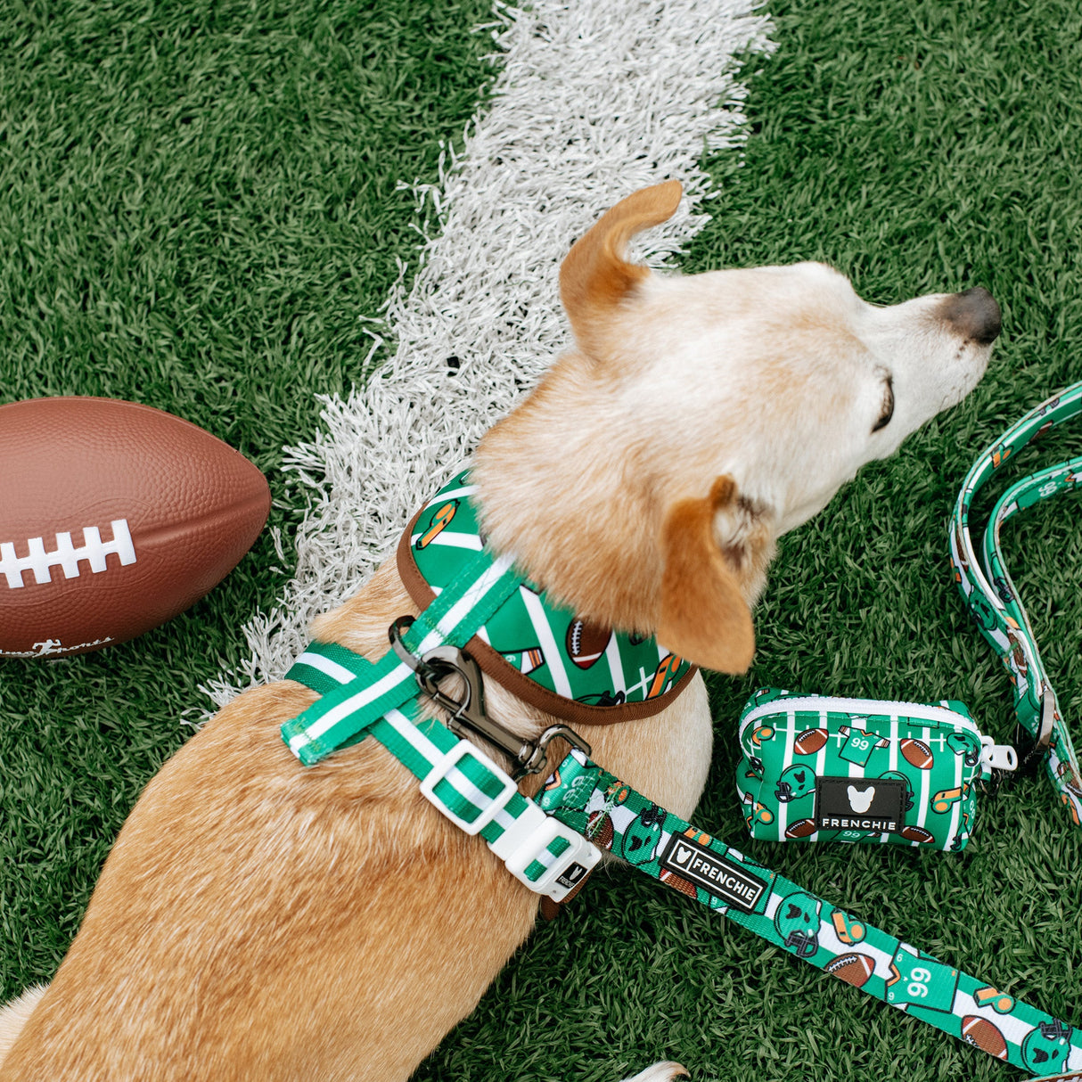 Frenchie Duo Reversible Harness - Touchdown from Frenchie Bulldog