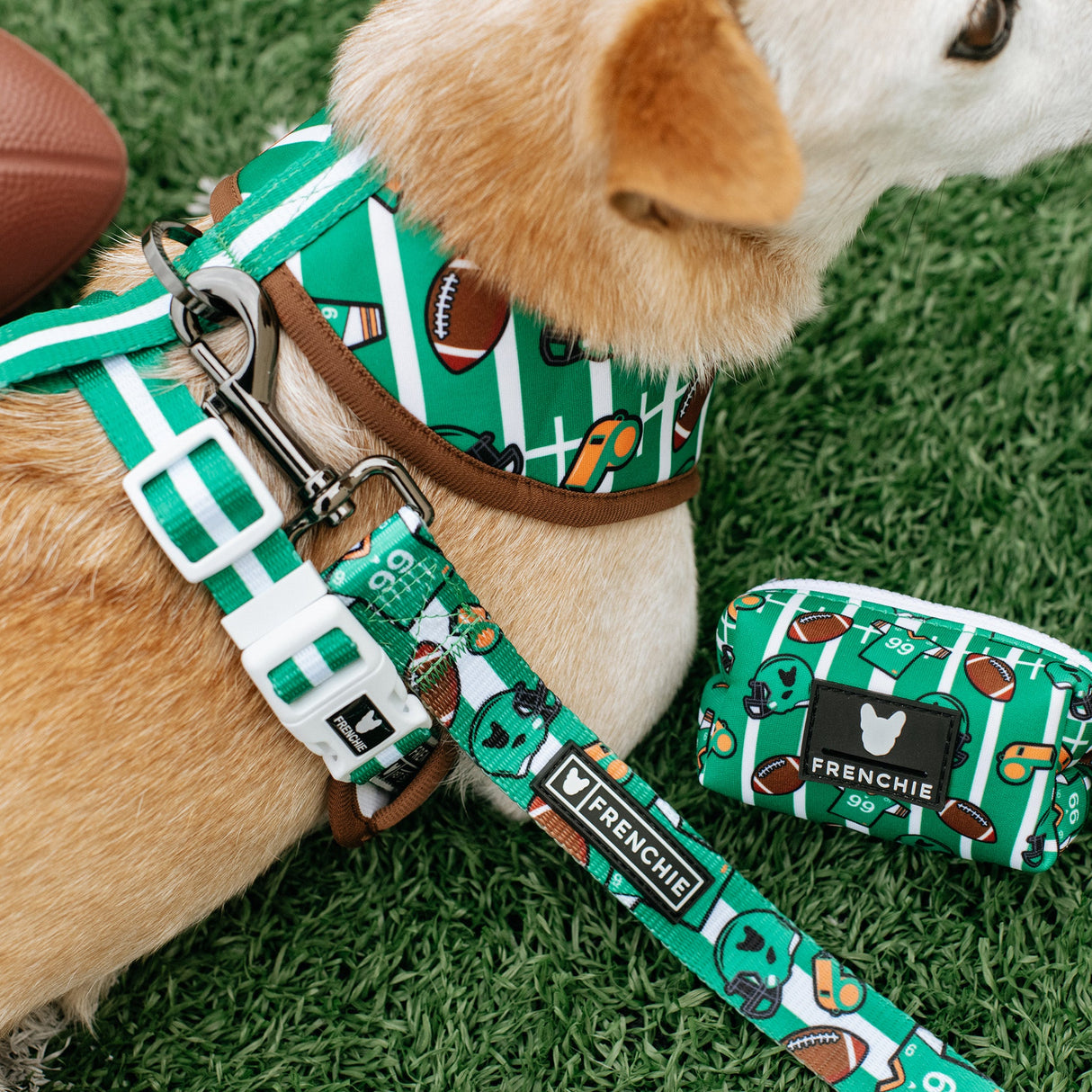 Frenchie Duo Reversible Harness - Touchdown from Frenchie Bulldog