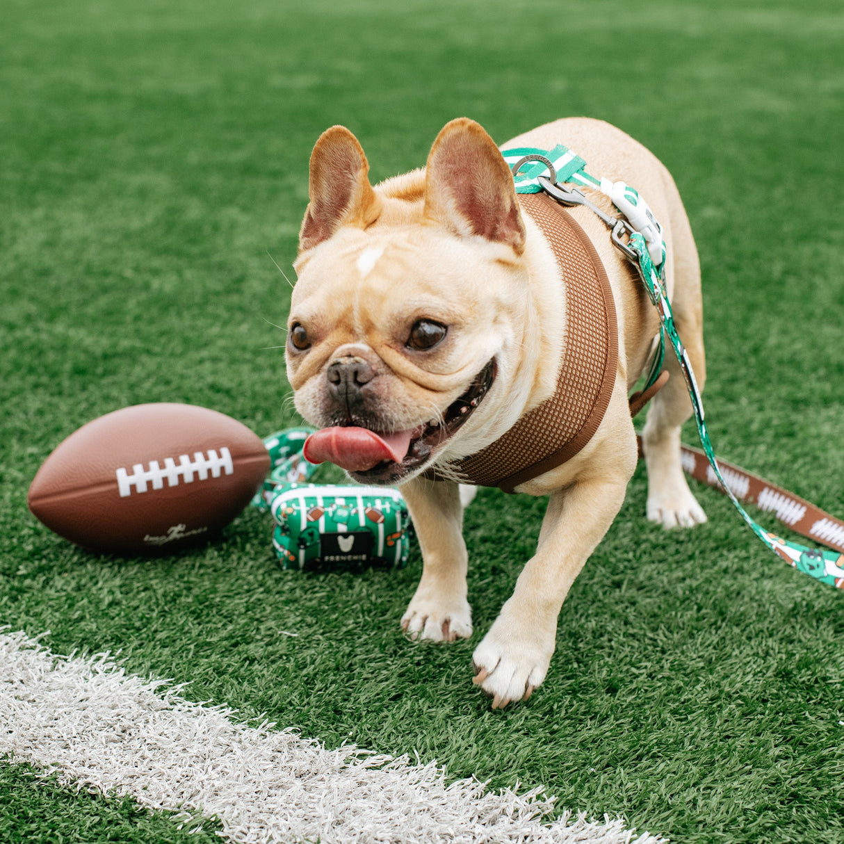 Frenchie Duo Reversible Harness - Touchdown from Frenchie Bulldog