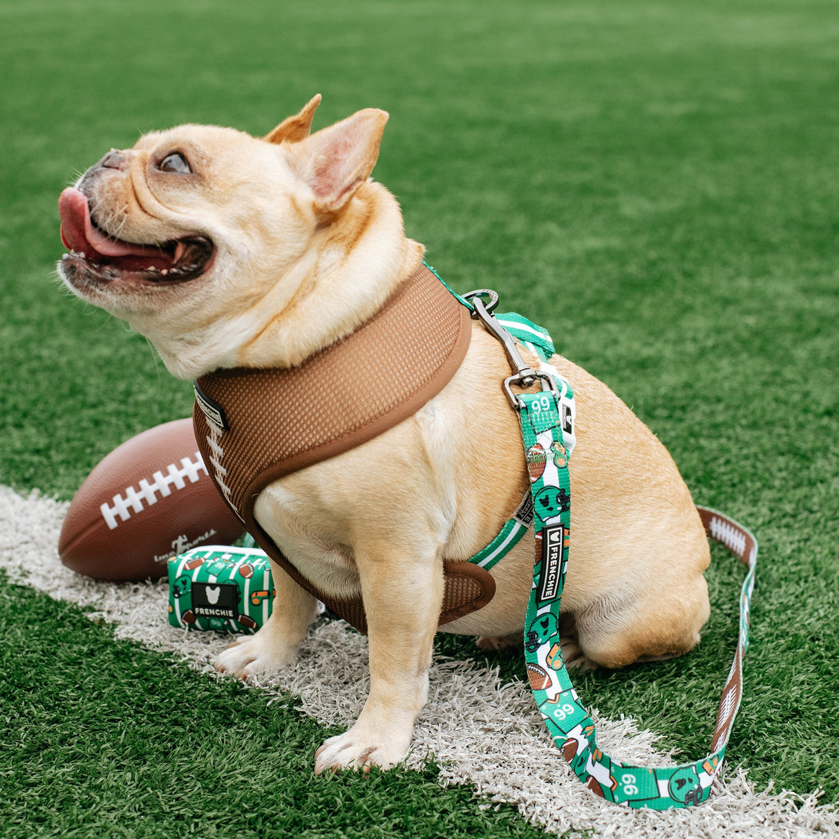 Frenchie Duo Reversible Harness - Touchdown from Frenchie Bulldog
