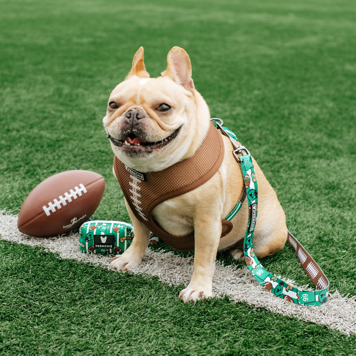 Frenchie Duo Reversible Harness - Touchdown from Frenchie Bulldog