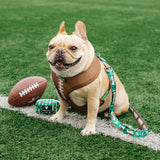 Frenchie Duo Reversible Harness - Touchdown from Frenchie Bulldog